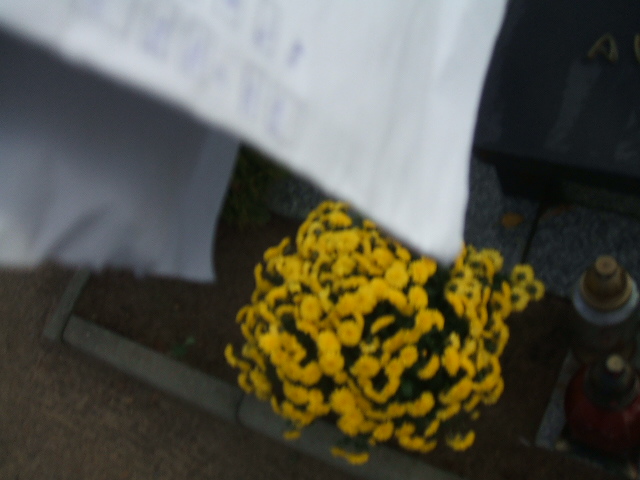 Jan Szyk 1913 Międzychód - Grobonet - Wyszukiwarka osób pochowanych